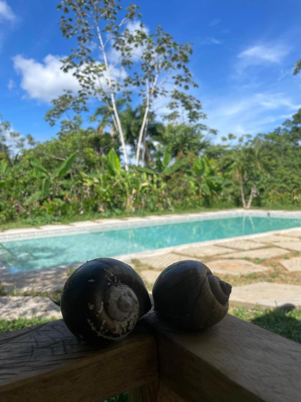 Purachata Lodge *