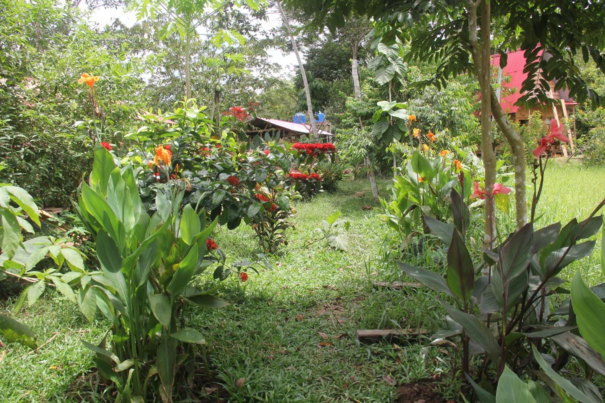 Purachata Lodge Iquitos